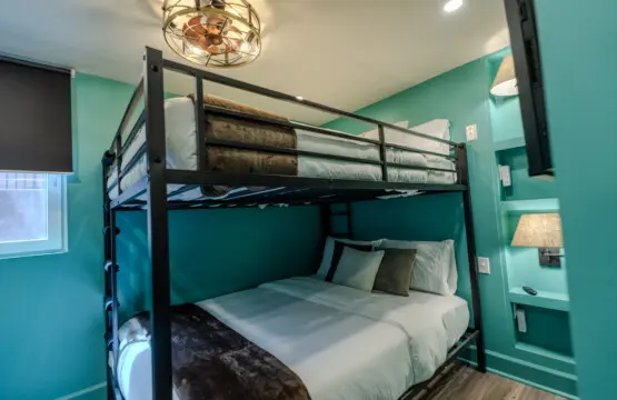 66c65589 468e 4a35 9641 6389138c1a1b